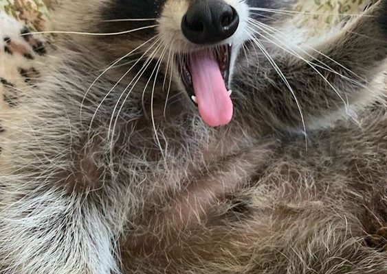 02a14f988ab4760b9e0788793d01daad