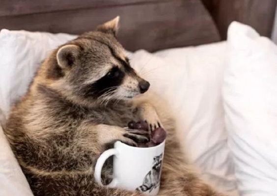 322aeed833a7614d09655ca957242a86