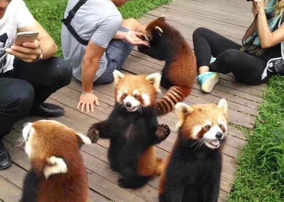 46c421233fab93a9da73801bd2803d03