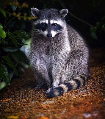 5de56b48e50a1699e47c1293e1d73e5c