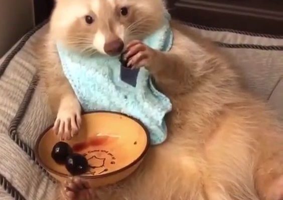 7d40ead6b7021a19213d29261ce469d4