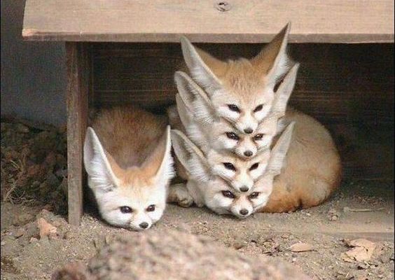 99e7b0daec66f1390137aa4def683725