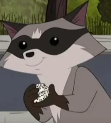 Recurring_Raccoon