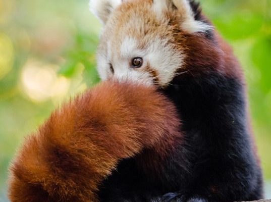 aec155fad12db7a7fc801efe1421d5f8