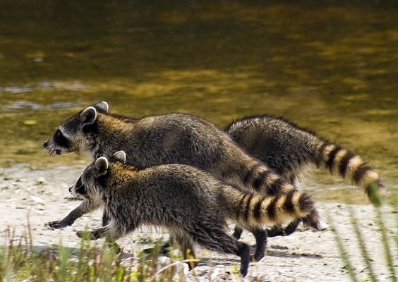 bd00916b626330b014955e1f1a29133f