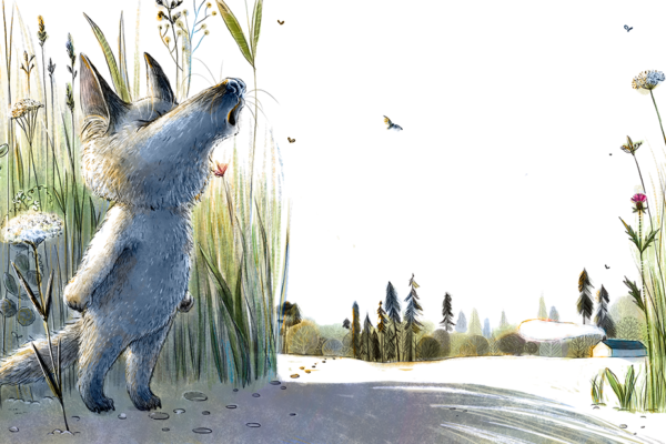 fd2c4861073345.5a62353ba1112